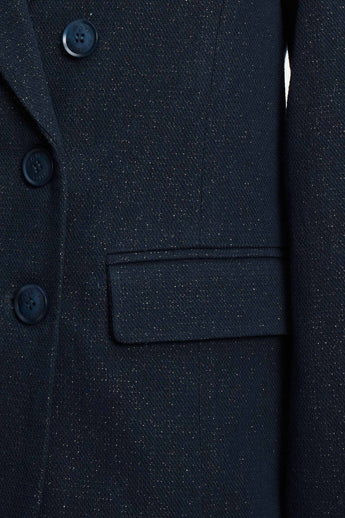 POM Amsterdam Blazers BLAZER - Dark Shimmer